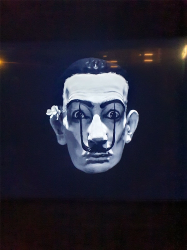 Dali93