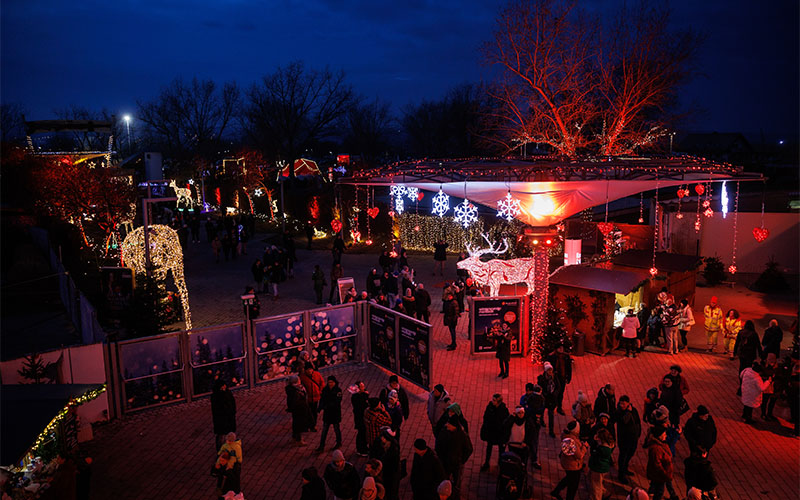 Winterwunder Mörbisch (Foto © Burgenland Tourismus, Maria Hollunder)