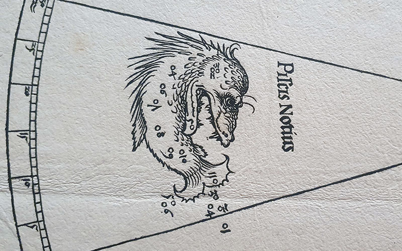 Nicht nur Sternzeichen sind auf den Karten