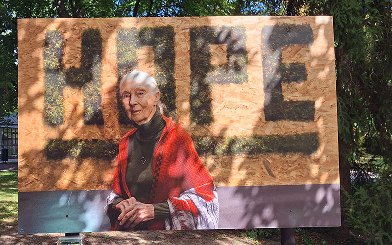 Auch an Jane Goodall wurde gedacht