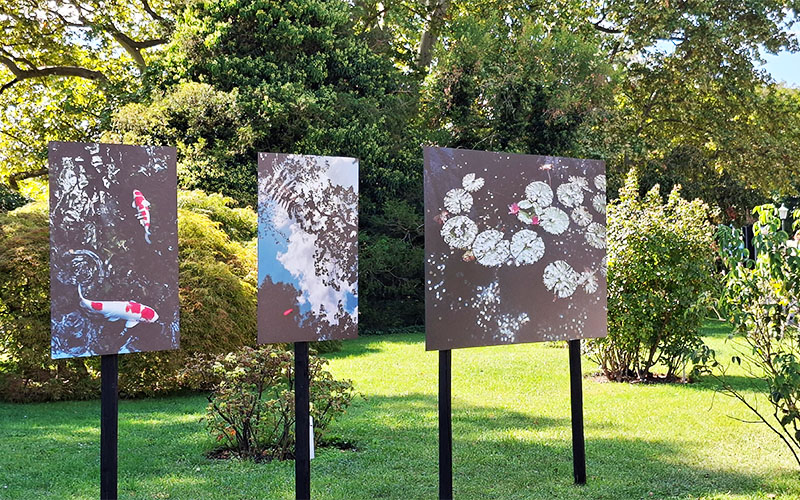 Gacilly Foto Festival75