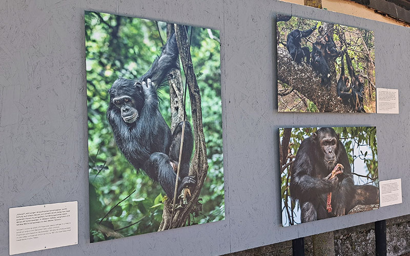 Gacilly Foto Festival81