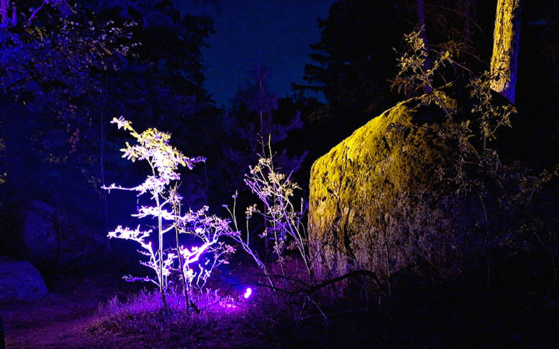 Blockheide Leuchtet26 93