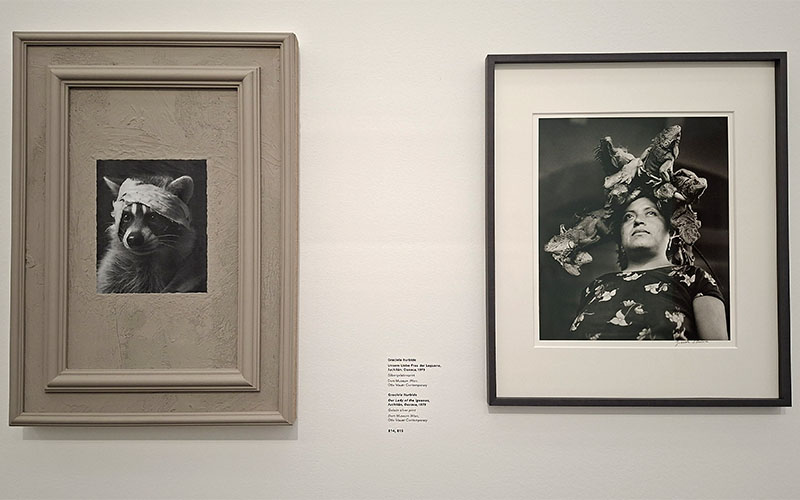 Rechts das Plakatmotiv der Ausstellung