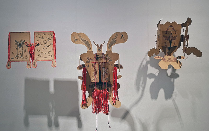 Anatomical Folding Books