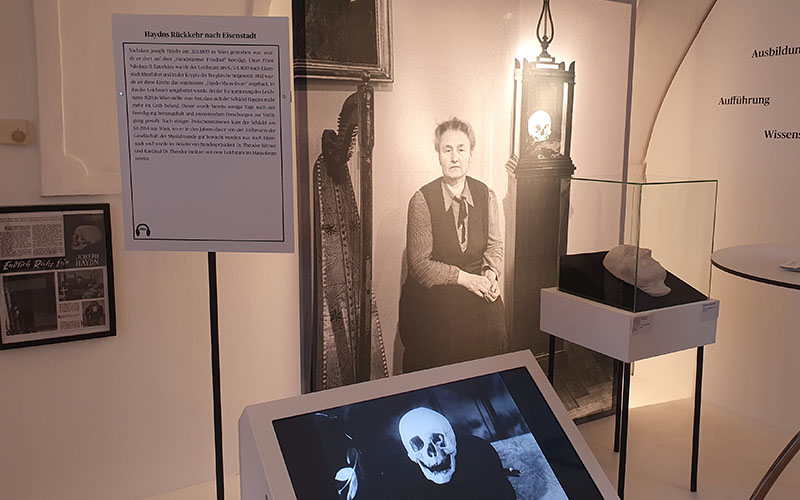 Die Geschichte mit dem Schädel von Haydn