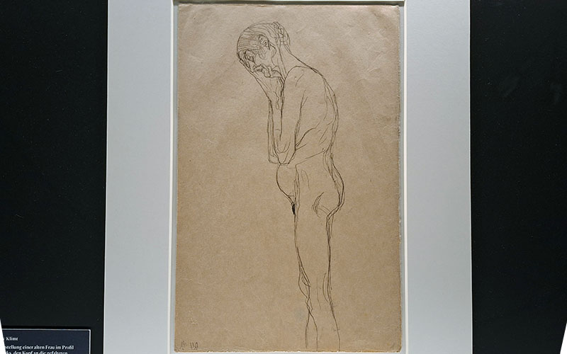 Studienblätter in der Ausstellung