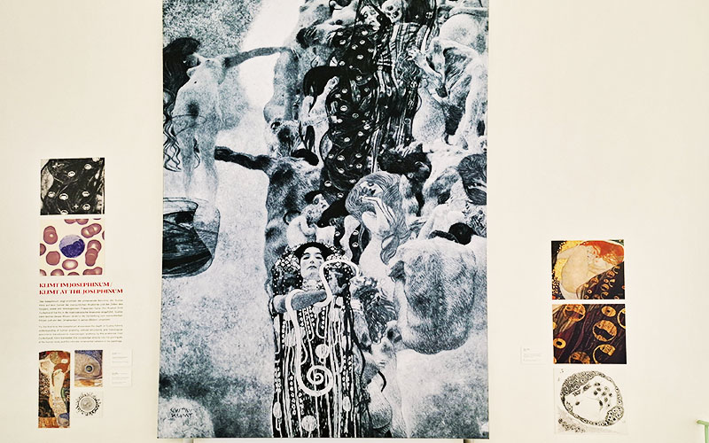 Überraschende Ähnlichkeiten