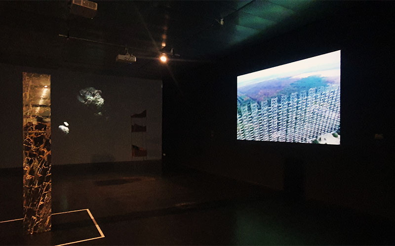 The World Without Us