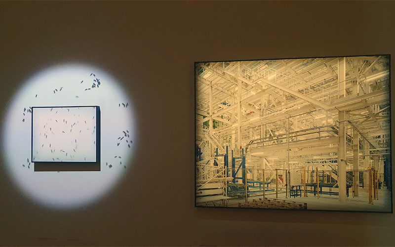 Was werden wir in Zukunft essen?