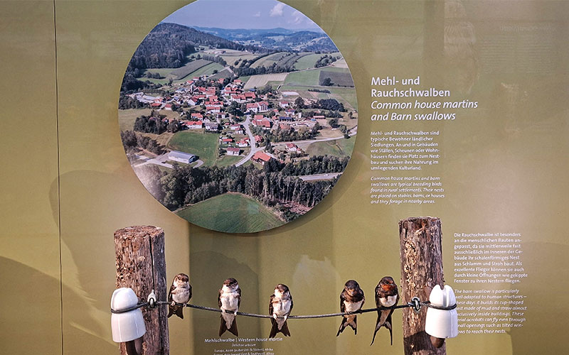 Schwerpunkt Lebensräume