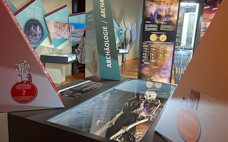 Blick in die neue Sonderausstellung im NHM