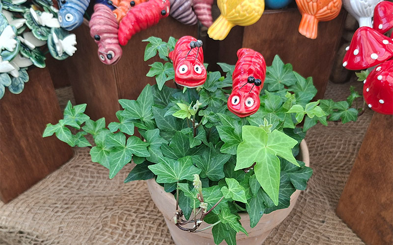 Lustige Dekorationen sind auch vorhanden