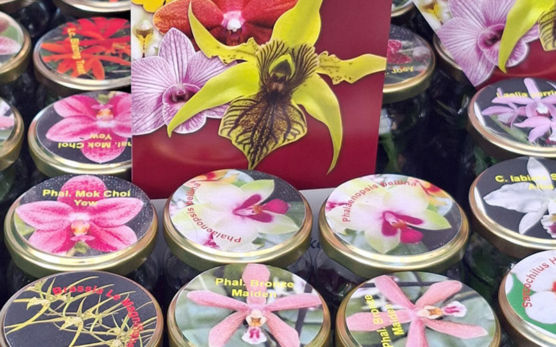 Man kann auch Pflänzchen groß ziehen