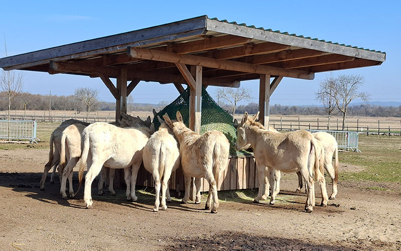 Das Futter war viel interessanter als die Besucher