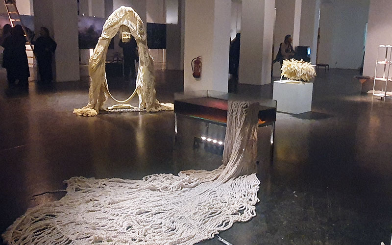 Monica C. LoCascios: Portals