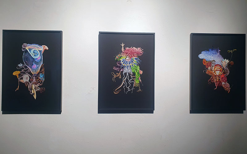 Sympoiesis von Lena Rosa Händle