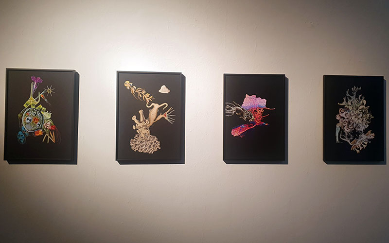 Sympoiesis von Lena Rosa Händle