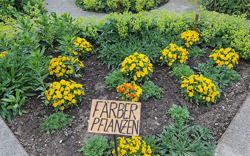 Ausflug in den "Nutzgarten"