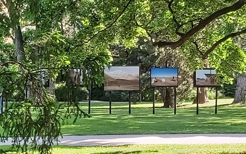 Im Rosarium von Baden