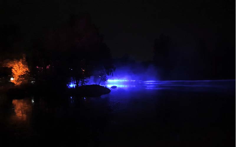 Leuchtendes Blau beim Teich