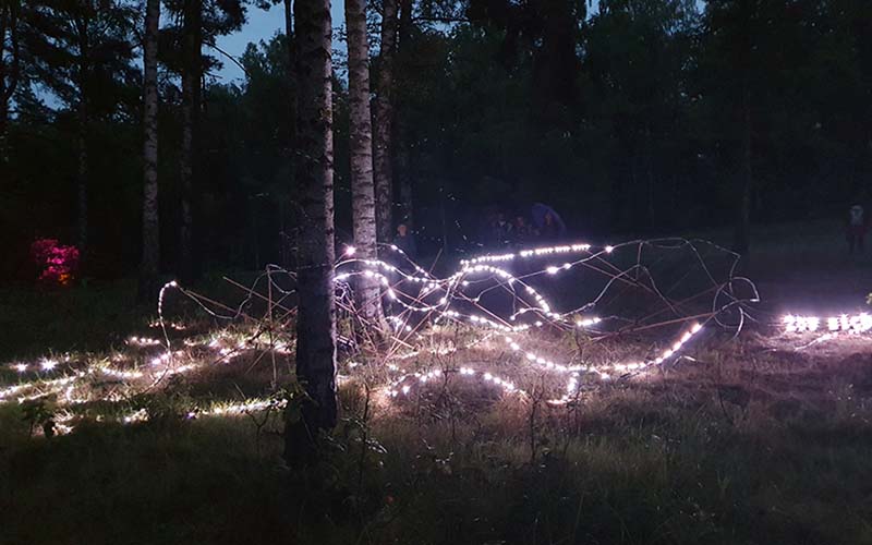 Die Blockheide leuchtet