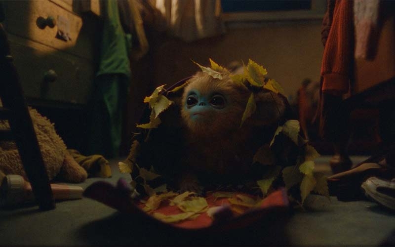 Der kleine Ochi ist verletzt (Foto © Plaion Pictures)