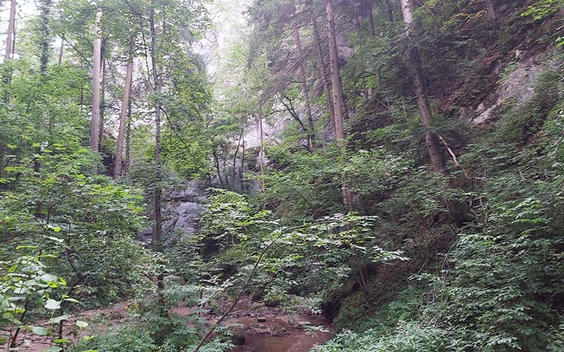 Johannesbachklamm bei Würflach