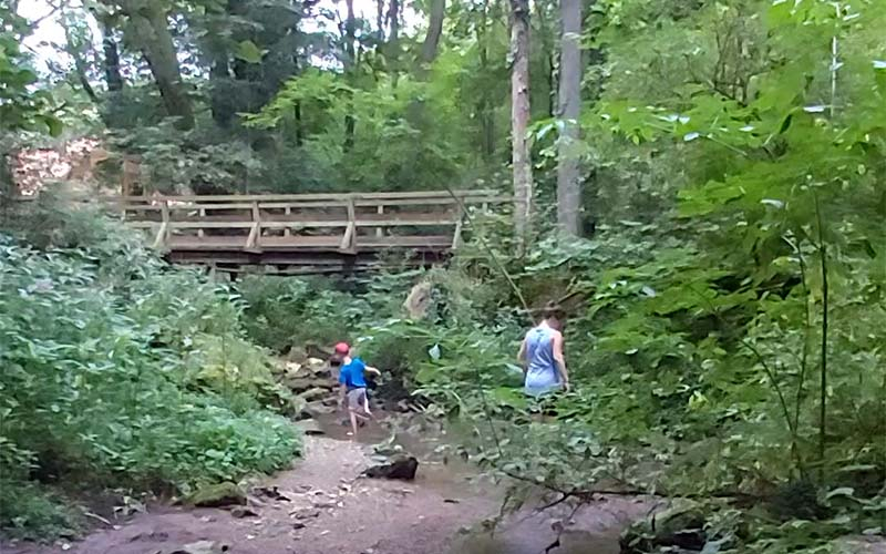 Abwechslungsreich: Brücken, Holzsteigen und dann wieder Waldweg