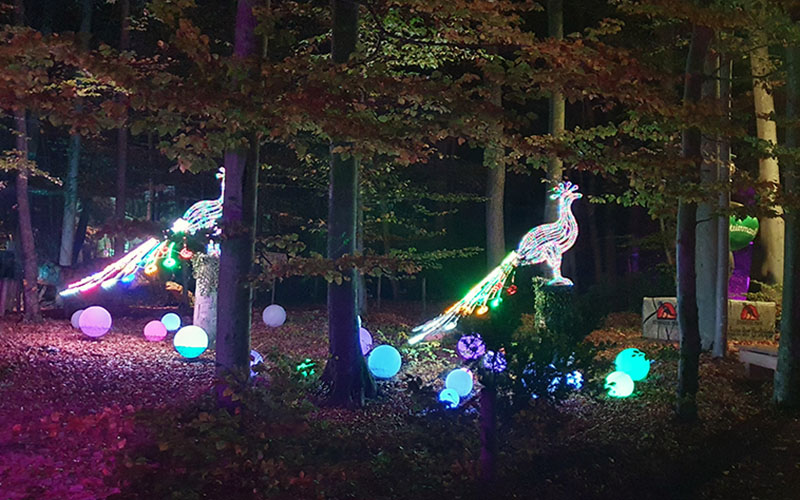 Styrassic Park Lichtshow11