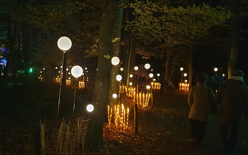 Styrassic Park Lichtshow26