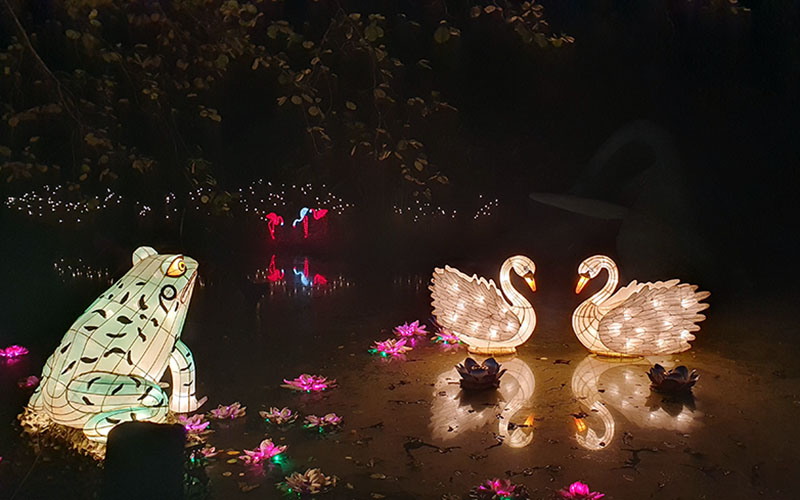 Styrassic Park Lichtshow29