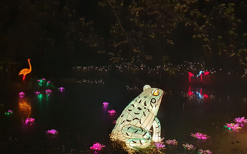 Styrassic Park Lichtshow30