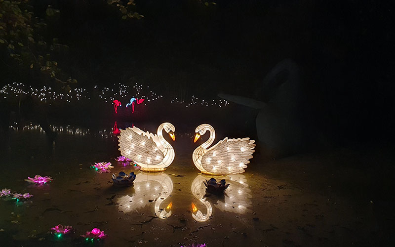 Styrassic Park Lichtshow31