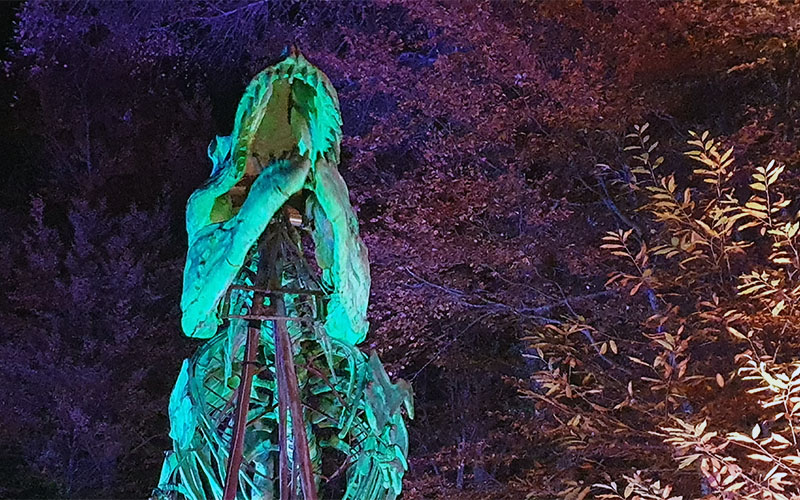 Styrassic Park Lichtshow9