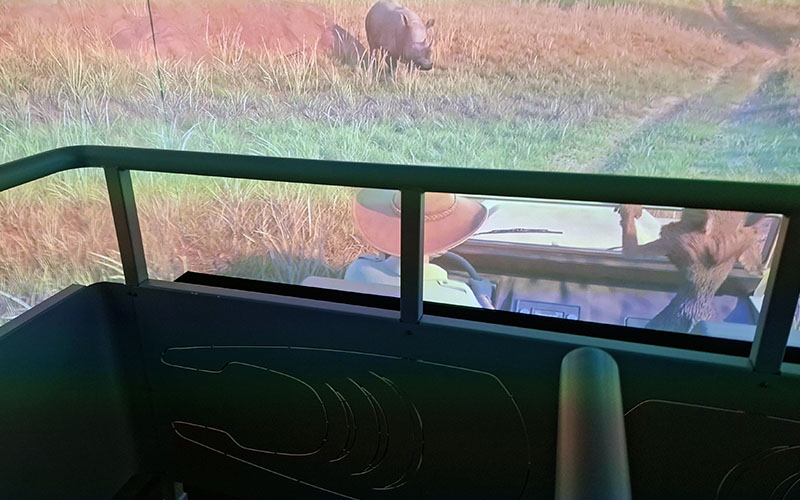 Auf Safari