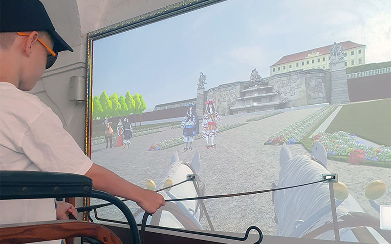 Einmal selbst die Kutsche steuern