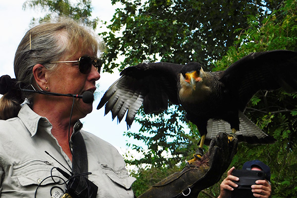 Bei der Flugshow