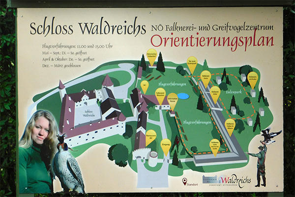 Das Areal des NÖ Falknerei- & Greifvogelzentrums