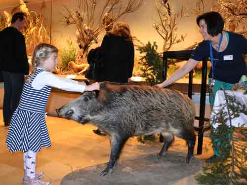 KInd im Museum Burgenland