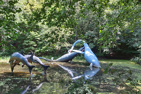 Auch im Teich ist eine Menge los