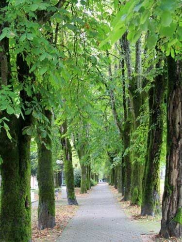 Der Töplitzer Kurpark (Foto © Norbert Eisner)