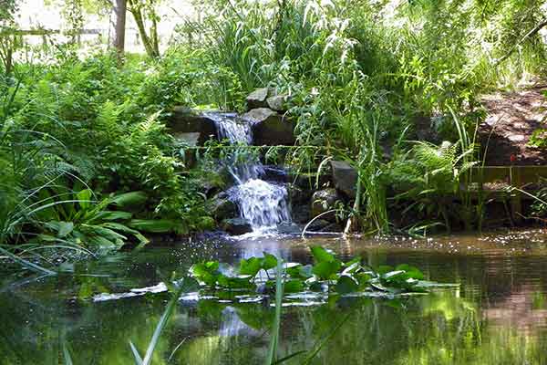 Botanischer Garten Bochum (Foto © Dagmar Postel)