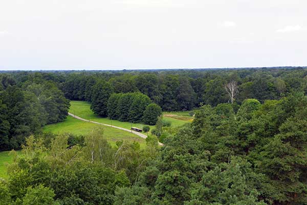 Ausblick vom Bismarckturm