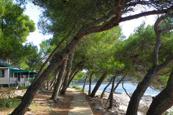 Spazierwege (auch am Campingplatz vorbei) in Lošinj