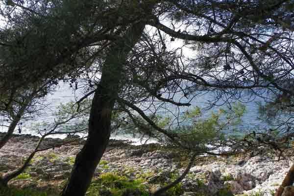 Blick zum Meer in Lošinj 