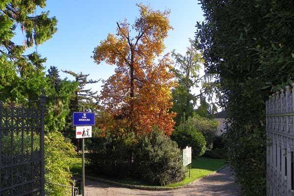 Im Park Angiolina in Opatija