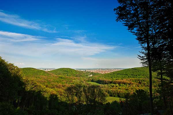 Blick auf den Wienerwald (Foto © Biosphärenpark Wiener Wald, Lammerhuber)