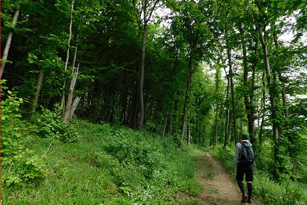 Wandern und dabei Kräuter, Bäume, Blumen und Tiere kennen lernen macht Spaß und man bekommt Zeit zum Verschnaufen.