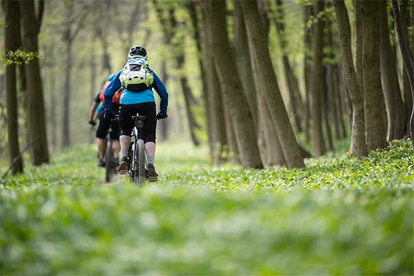 Beim Trailcenter Hohe Wand Wiese starten auch die Mountain Biker ihre Touren (Foto © Trailcenter Hohe Wand Wiese, Markus Frühmann)